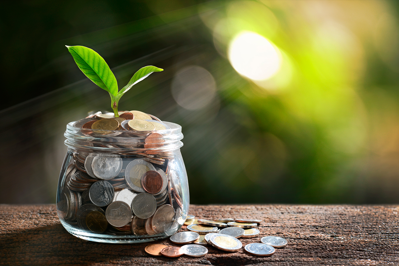 Inversión en acciones y bonos, o en fondos de inversión. ¿Qué interesa más?
